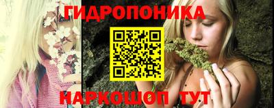 apvp Можга