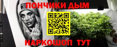 apvp Можга