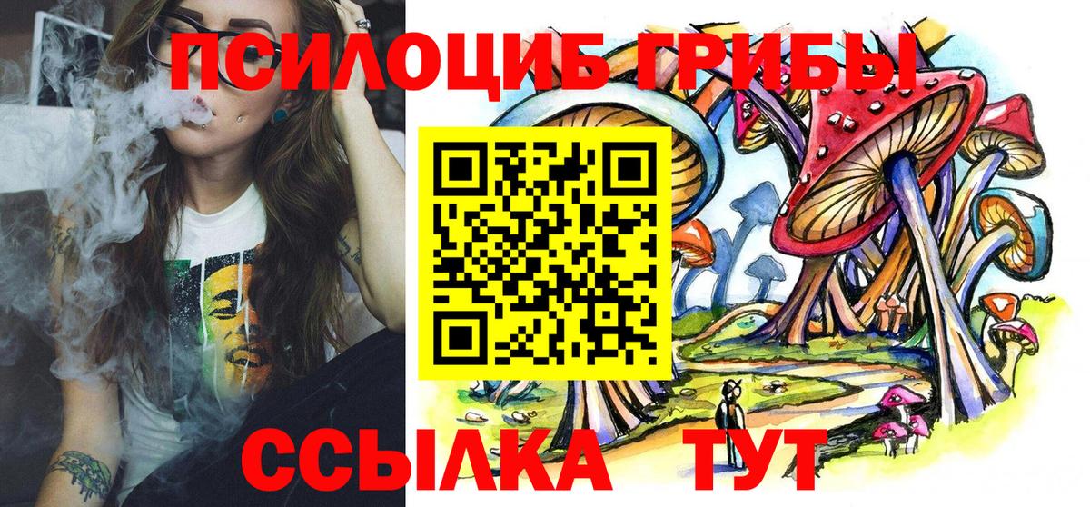 Вязники  Псилоцибиновые грибы Psilocybe  Вход с VPN 
